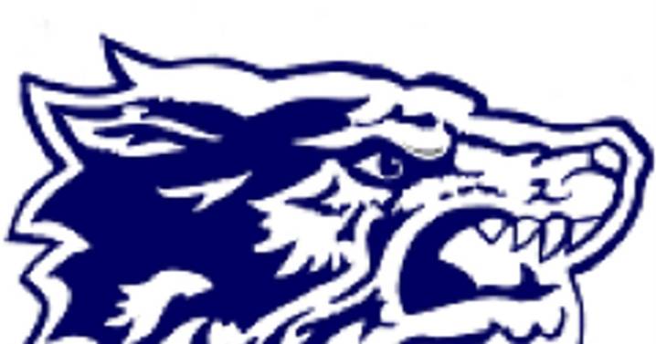 Oswego East soccer wins season opener: Tuesday’s Record Newspapers sports roundup