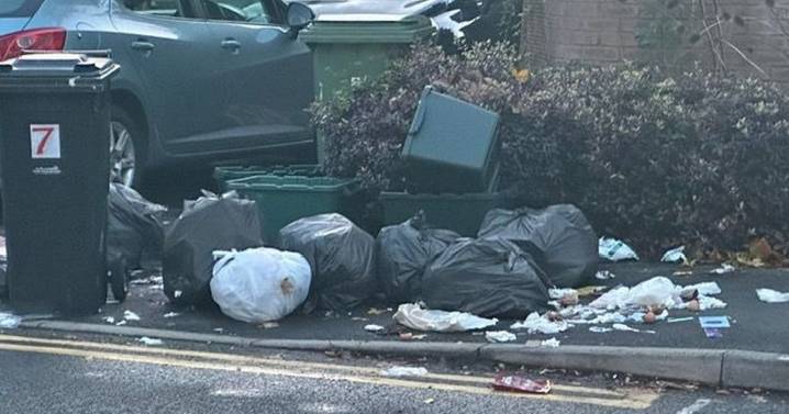 Resident turned landlord speaks out on problems with nightmare student houses