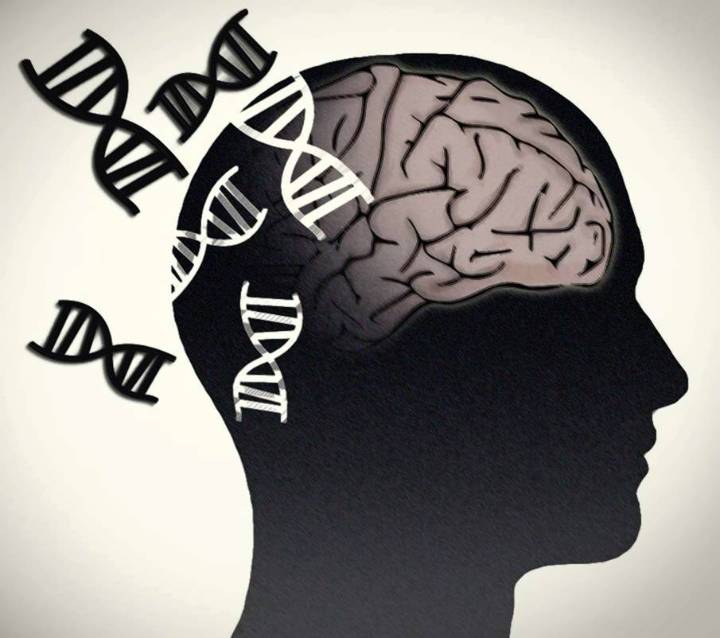 Descubren ocho nuevos genes vinculados a la esquizofrenia en el mayor estudio de exoma realizado hasta ahora