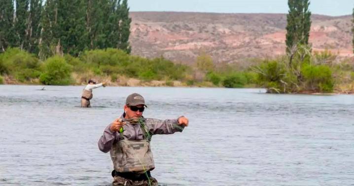 Por qué el pez exótico que llegó del Atlántico puso en alerta a Neuquén al aparecer en el río Limay