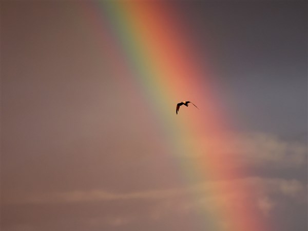 Photo gallery: Best pictures for week Aug. 21