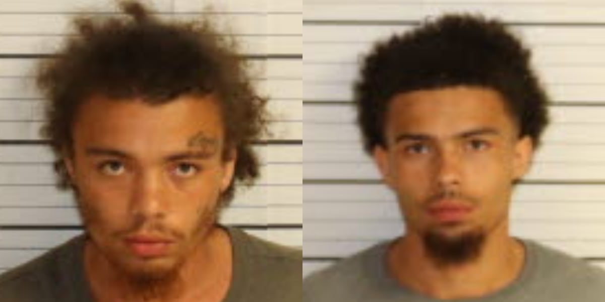 Brothers arrested for holding neighbors hostage, hiding from police