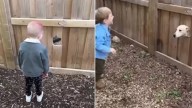 Family Discovers Unexpected Feature In Their New House In Texas