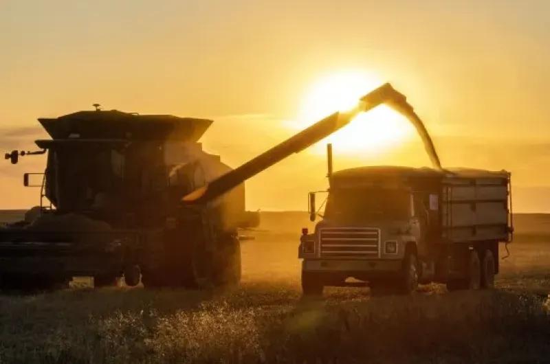 Del campo a los mercados globales: cómo el agro puede liderar la próxima etapa del crecimiento argentino