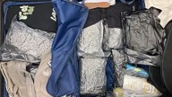 Atlanta man caught with 29 pounds of marijuana at DC airport, officials say