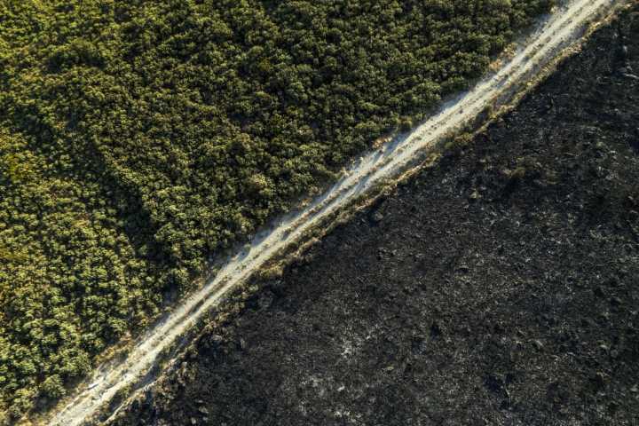 Descienden los incendios en España con la caída de lluvias en las zonas afectadas