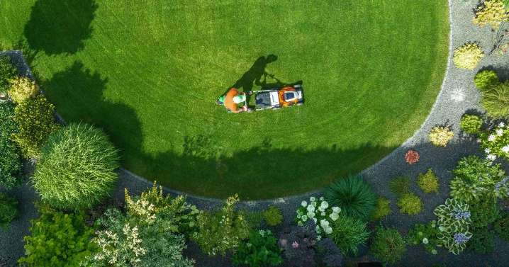 Prevent your lawn from turning brown with this simple mowing tip for August