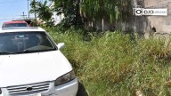 Hierba invade banqueta de la calle Álvaro Obregón; municipio enviará cuadrillas de deshierbe