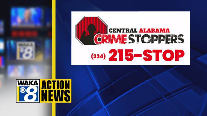 PHOTOS: Montgomery police investigating mail theft and check fraud