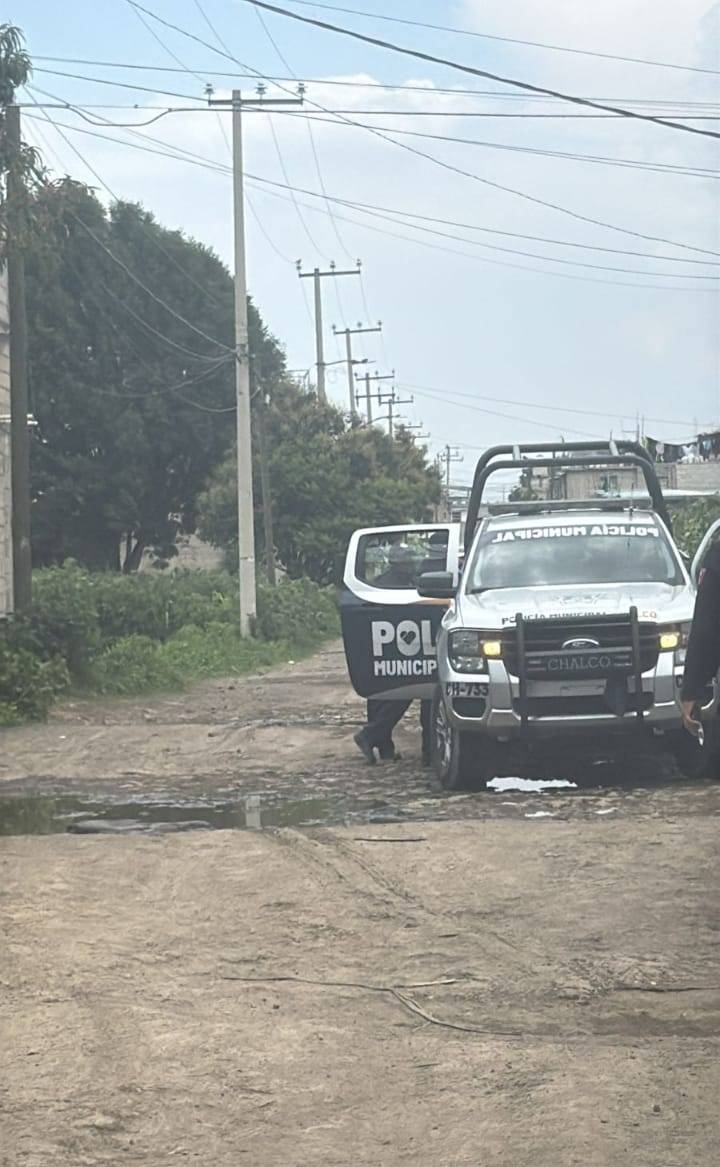 Brutal ataque sin explicación: niña de 12 años asesinada en un  domicilio de Chalco