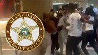 Cops Called Over 'Chicken Tenders' Cruise Brawl, No Arrests Made