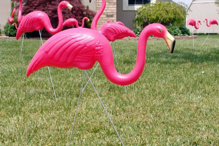 Designers Say These 5 Front Yard Details Are Making Your Home Look Stuck in the Past