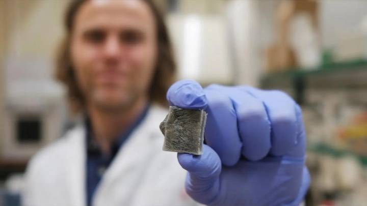 Bombazo en la ciencia española: crean un material con algas que genera electricidad y a la vez es ignífugo