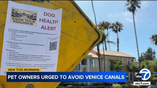 Algae toxins found in water of Venice Canals amid investigation of dog deaths; cause remains unclear