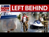 Pets of Katrina: 20 years later, how the storm changed animal rescue