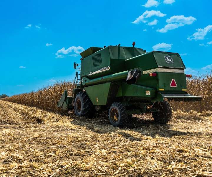 El cultivo del maíz alcanza niveles récord, pero el calor y las enfermedades son riesgos