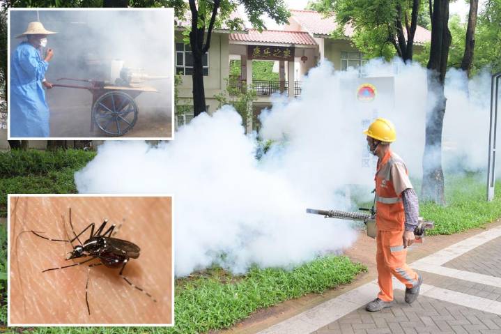Severe outbreak of mosquito-borne chikungunya virus infects 8,000 in China