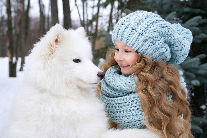 13 Dog Breeds That Stay Loyal For A Lifetime