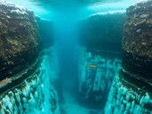 El mapa oculto de la Antártida: científicos encuentran cientos de cañones submarinos secretos