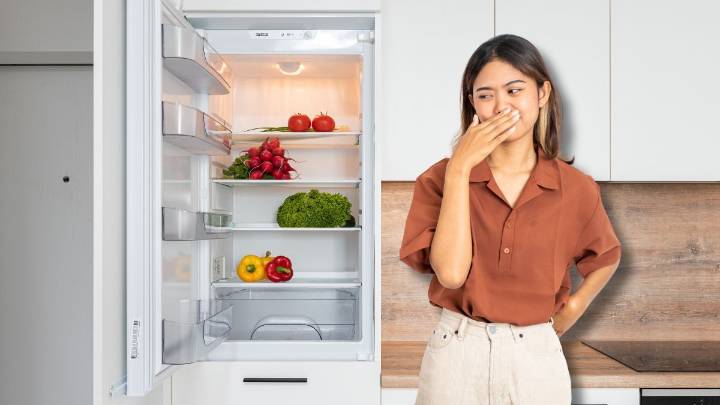 Cómo quitar el mal olor de la heladera y del freezer sin usar productos químicos