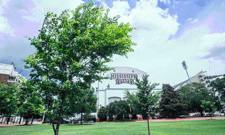 Landscaping team at Mississippi State planted over 2,000 trees in last 5 years