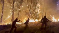 Castilla y León en situación "muy compleja" con cinco incendios graves y varios municipios desalojados