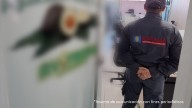 La empresa de aguacates que se convirtió en la millonaria fachada para lavar las ganancias del narcotráfico