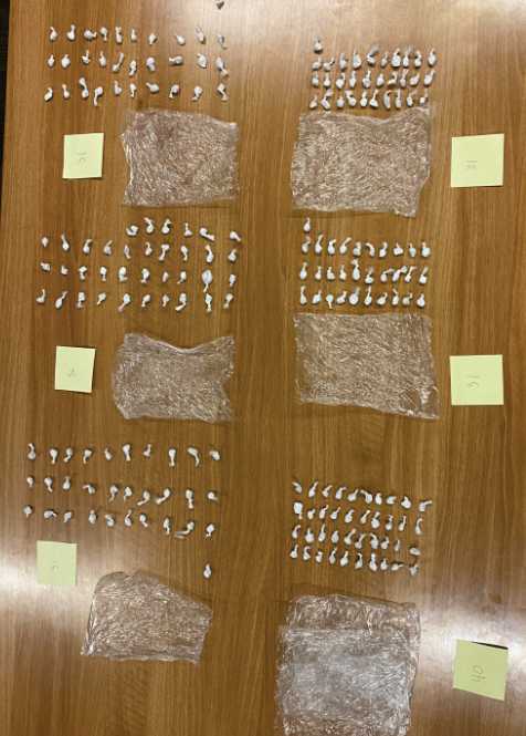 Conviction in ‘massive’ Chicago-to-Duluth fentanyl trafficking scheme