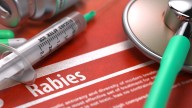 Fox tests positive for rabies after coming into contact with house cat in Alexandria