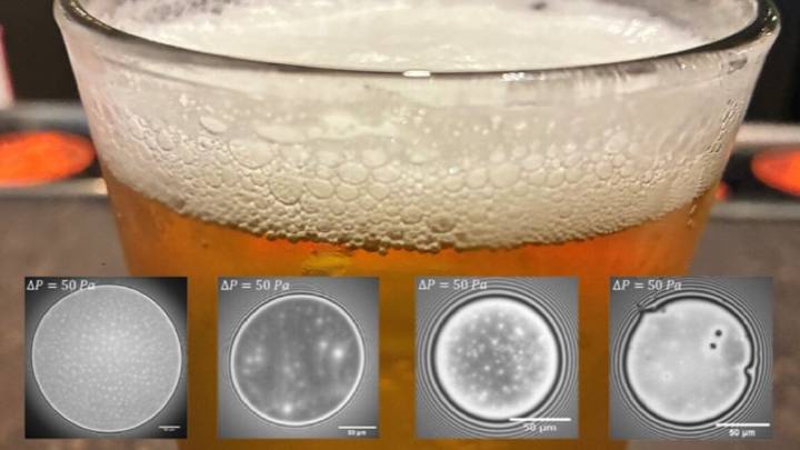 Scientists unlock secret to thick, stable beer foams