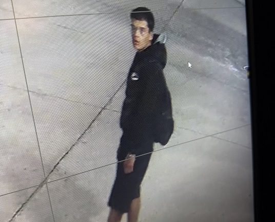 Mishawaka Police investigating string of vehicle break