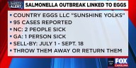 Salmonella outbreak linked to recalled eggs, nearly 100 sick