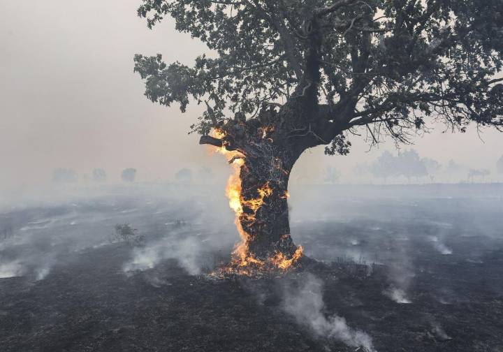 El PP en la Diputación acusa al PSOE de «hacer política rastrera y aprovecharse del drama» de los incendios