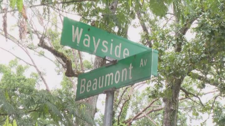 ‘I wouldn’t want to live next to that’: neighbors voice concern over proposed shelter site