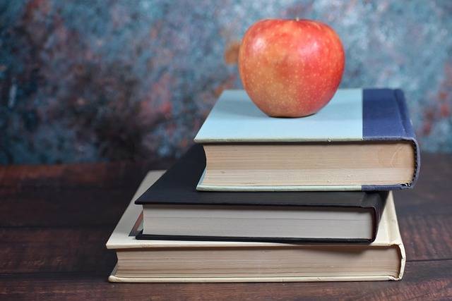 Crisis en las Pedagogías: decano de la UV alerta riesgo de cierre de carreras por nuevas exigencias de ingreso