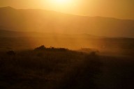 Valley Fever Cases Surge To Record Levels In California