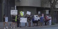 Demonstrators rally against animal cruelty after social media outrage
