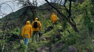 Árboles y fauna, los más afectados tras incendio en Cerro Tenango de Jonacatepec