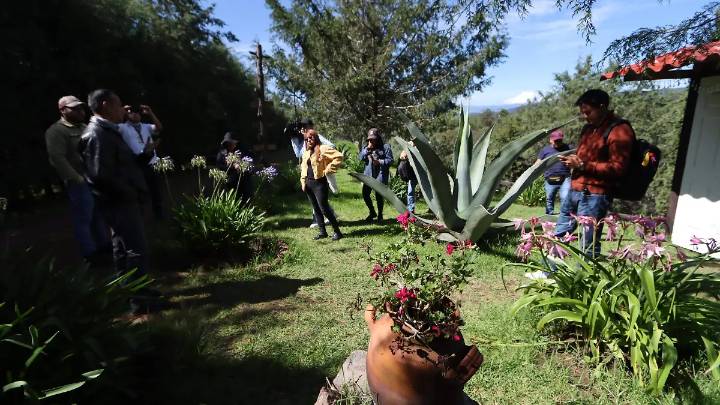Incrementa en 1.7 % la llegada de visitantes en la temporada de luciérnagas