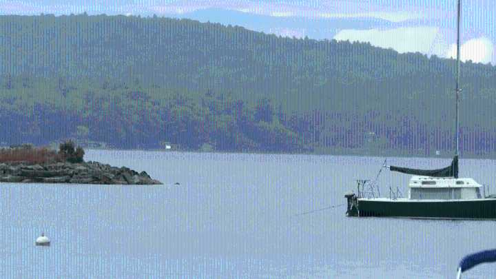 Sebago Lake woman apparently drowns, police in Maine say