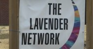 Lavender Network finds new home through $2.5 million donation