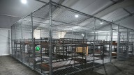 Florida's 'Alligator Alcatraz' detention facility to be empty 'within a few days'