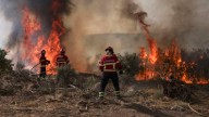 “Nos estamos cocinando vivos”: Europa arde por incendios mientras las temperaturas superan los 38 °C