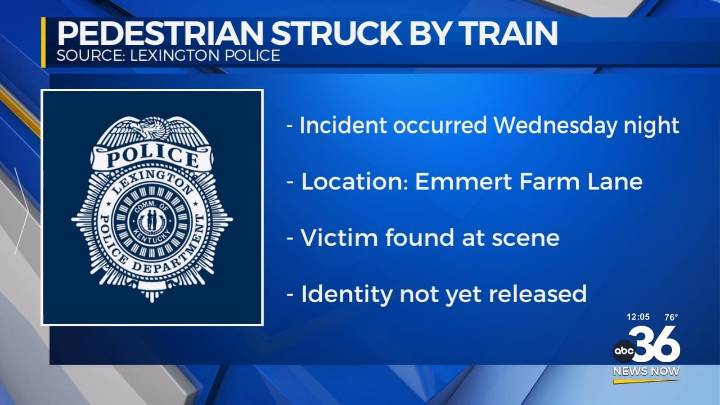 Pedestrian struck and killed by train