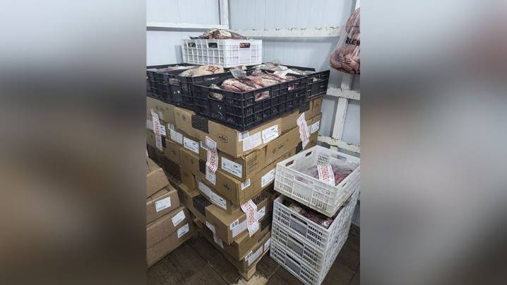 Bromatología incautó y descartó 900 kilos de carne