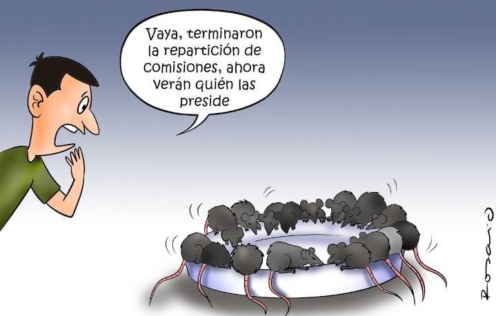 Humor: la repartija