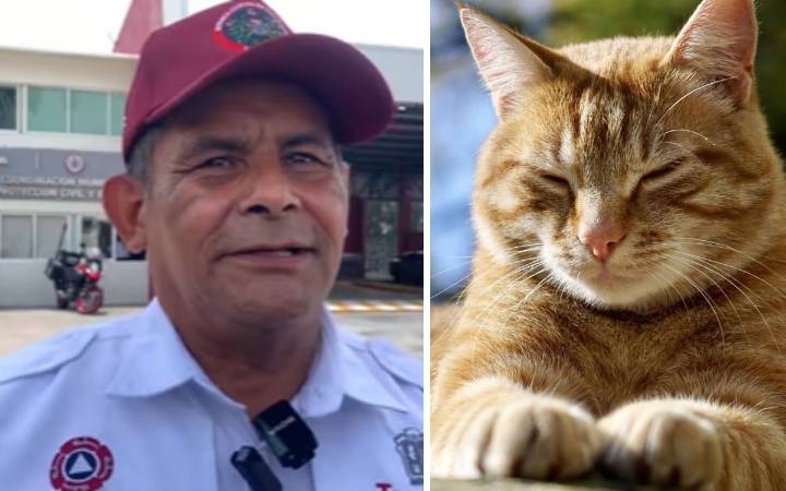 Bombero pierde un brazo rescatando a un gatito en Tecámac, piden apoyo