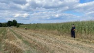 ‘OVNI’ choca en campo de maíz y explota en Polonia: «había restos de metal y plástico»