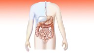 Gut-Lung Axis: Clinical Relevance for Pulmonology