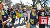 Nueva marcha de cartoneros por la restitución del transporte desde el conurbano